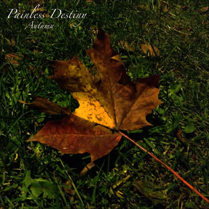 纲手穿比亚尼吃狙第三季什么时候出
